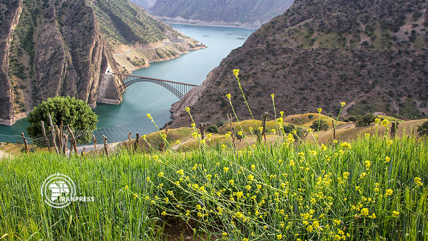 Iranpress: Retiens les yeux sur le pont incurvé de l
