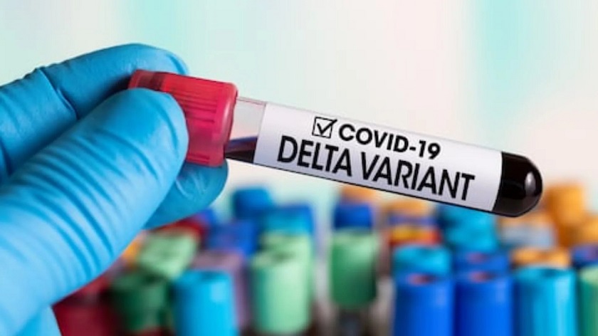 Iranpress: 95% pourraient devoir être vaccinés en France pour arrêter la variante Delta
