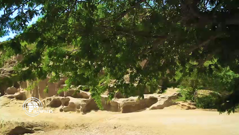 Iranpress: La vallée de Chahkuh; une attraction touristique spectaculaire sur l