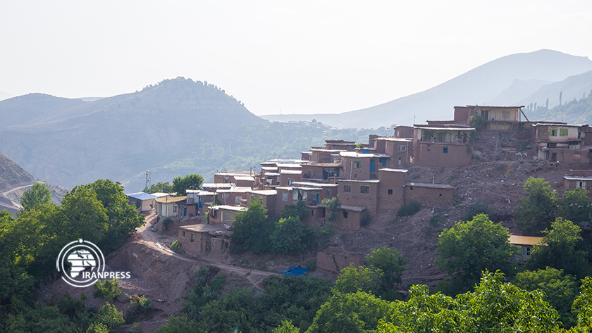 Iranpress: village touristique de Feshk ; récolte de noisettes à l
