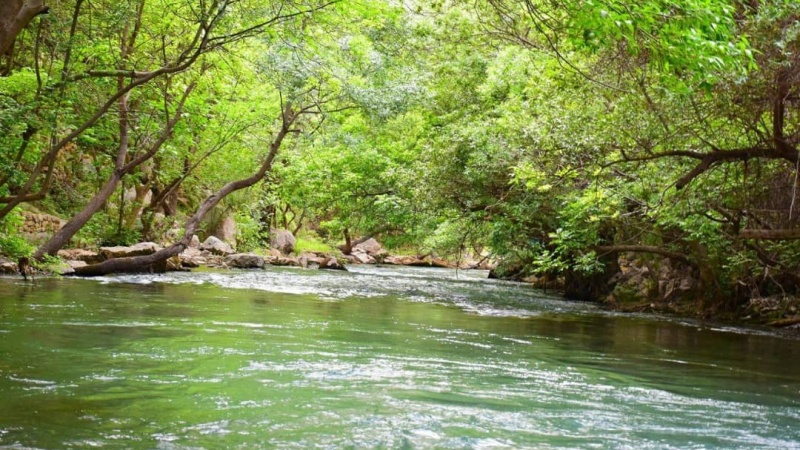 Iranpress: La nature paradisiaque du village de Palangan, à l