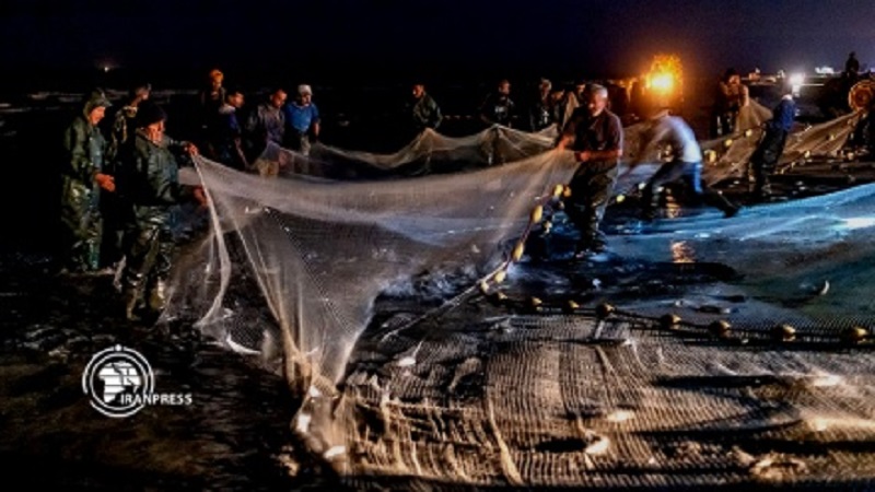 Iranpress: La beauté du surf et de la pêche sur les rives de la mer Caspienne