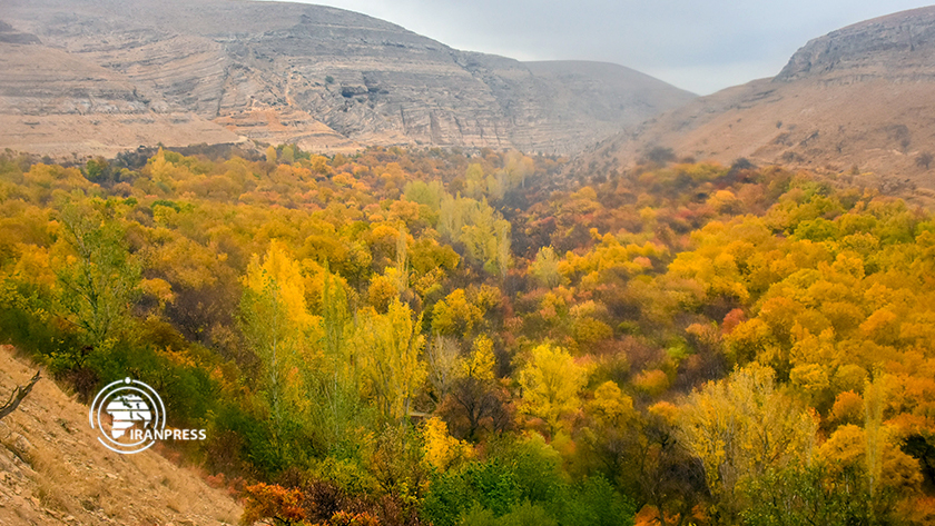 Iranpress: Présence de touristes dans les maisons en bois des villages de Komijan