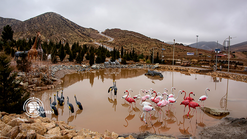 Iranpress: Le parc du mont Derak; Une vue accrocheuse de la saison des neiges