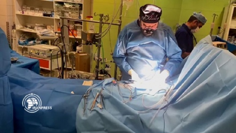 Iranpress: Transplantation d