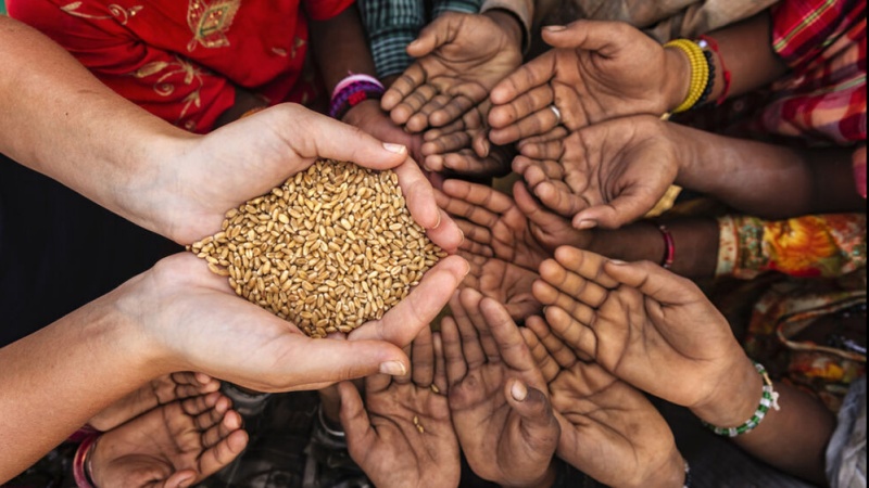 Iranpress: Plusieurs institutions appellent à une action urgente pour la sécurité alimentaire