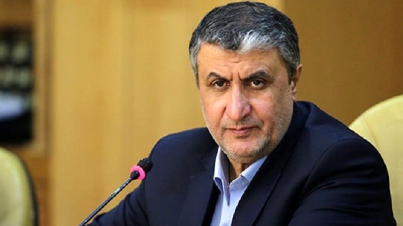 Iranpress: La polémique politique anti-iranienne n