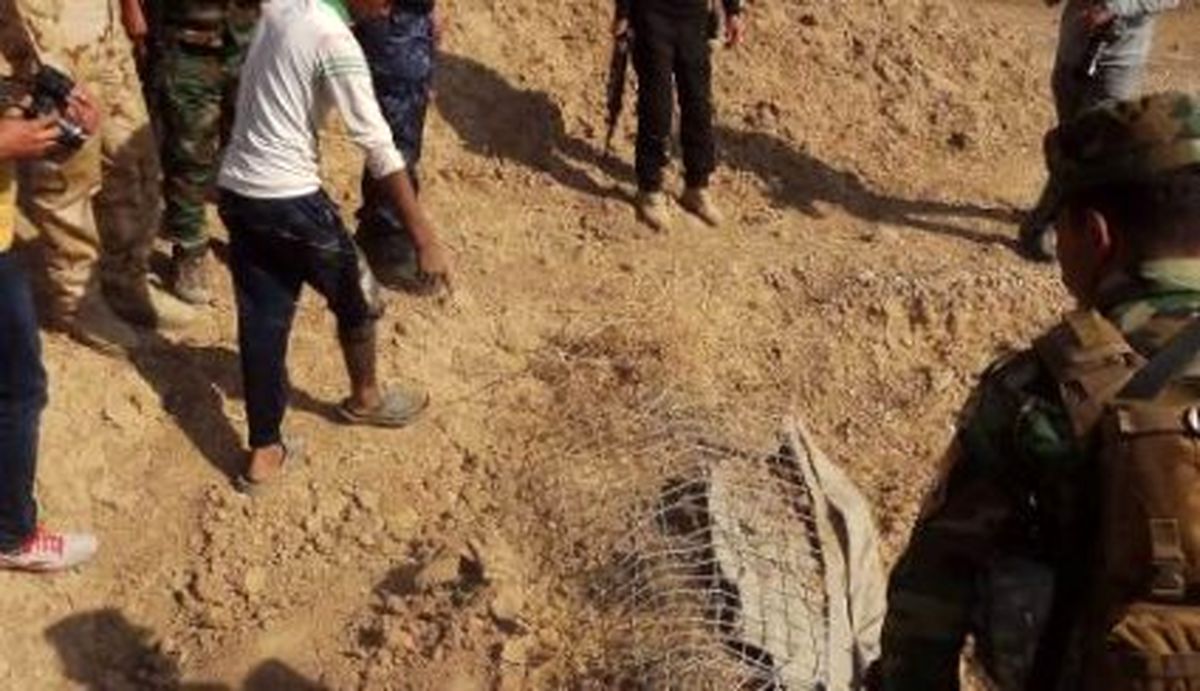 Iranpress: Égypte exige des explications du régime d