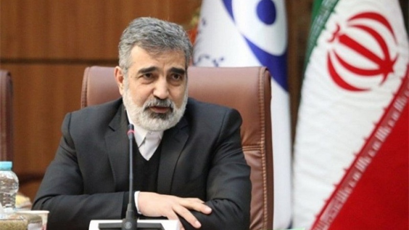 Iranpress: L
