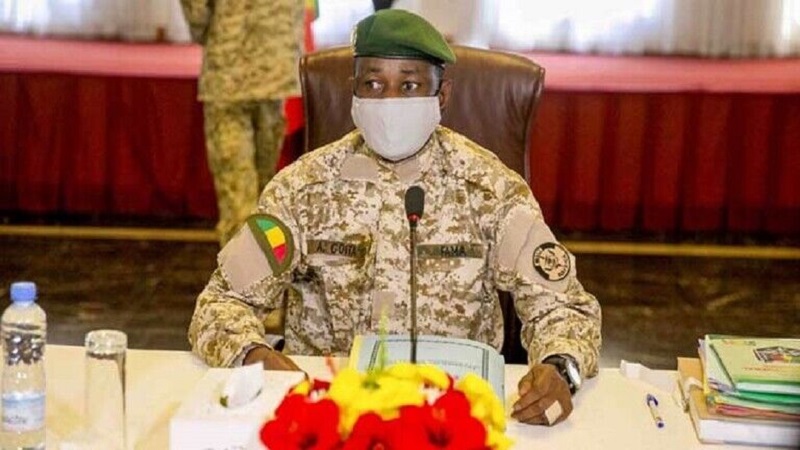 Iranpress: Les activités des organisations liées à la France ont été interdites au Mali