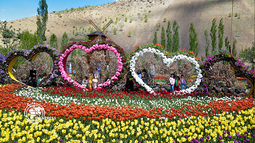 Iranpress: Le jardin des tulipes d 