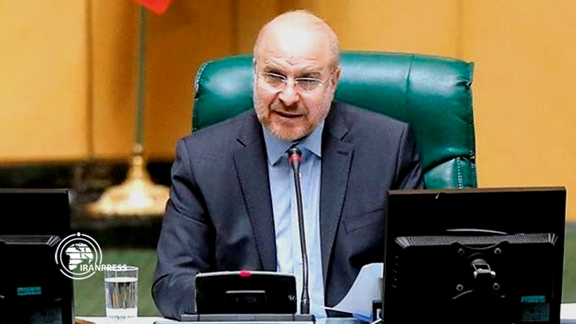 Iranpress: Iran: Insulter les opinions des musulmans du monde entier n