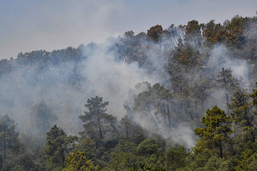 Iranpress: En Algérie, au moins 15 morts et 26 blessés dans des incendies