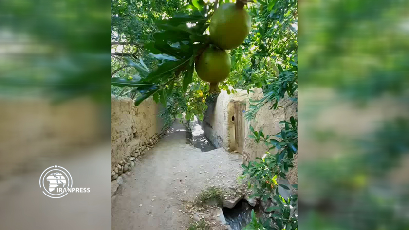 Iranpress: Les ruelles de jardins de Taft; Joyau touristique de la province de Yazd, en Iran