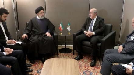 Iranpress: L