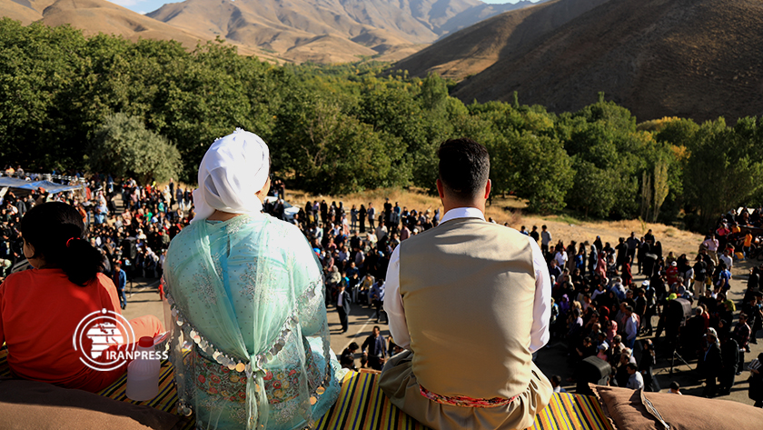 Iranpress: Fête de la noix dans un village touristique en Iran