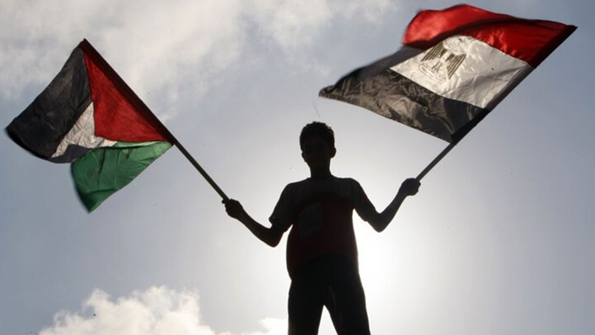 Iranpress: Les efforts des citoyens égyptiens pour aider la population de Gaza