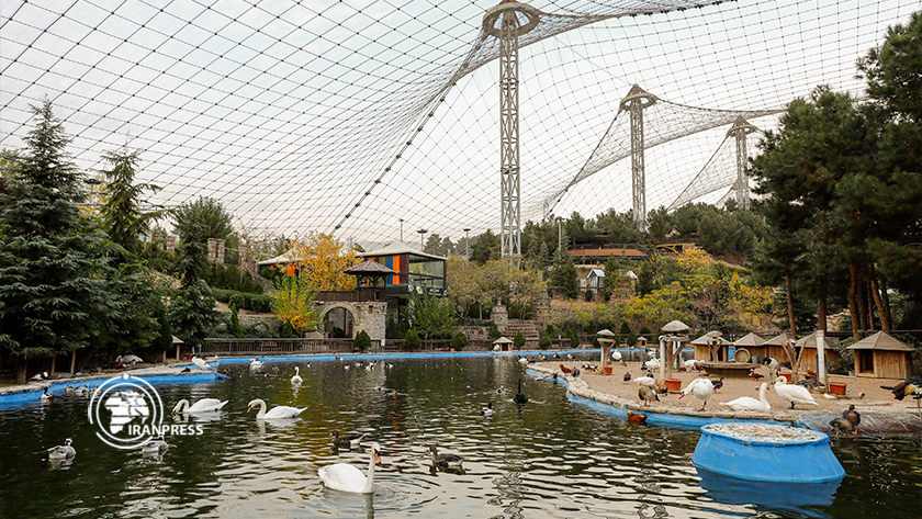Iranpress: Jardin des oiseaux de Téhéran; Le plaisir du tourisme avec le chant des oiseaux