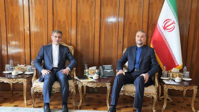 Iranpress: La place de l’Afrique dans la politique étrangère et l’approche de l’Iran