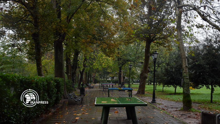 Iranpress: La nature pittoresque de la ville de Rasht, en Iran, dans un jour pluvieux
