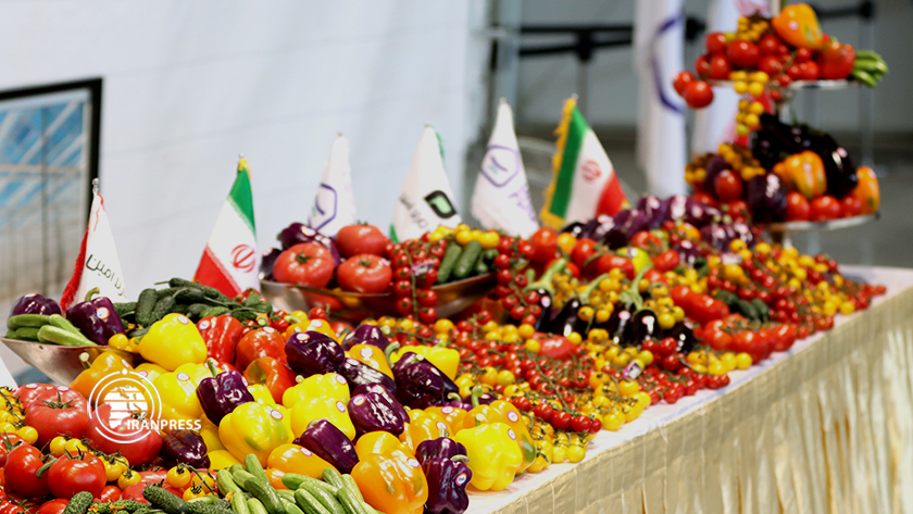 Iranpress: Augmenter la production nationale en installant une serre en verre moderne à Zanjan