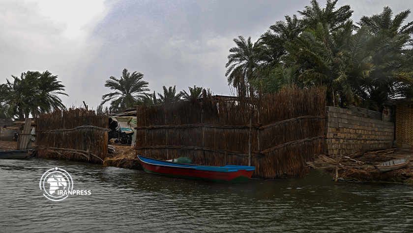 Iranpress: Zone humide international Shadgan ; Le joyau du tourisme du Khuzestan