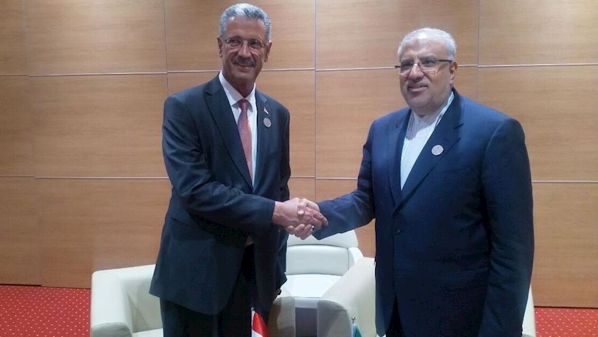 Iranpress: Étudier les moyens de développer les relations dans le domaine de l