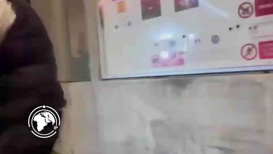 Iranpress: Mahdieh Esfandiari Released Conditionally From a French Prison