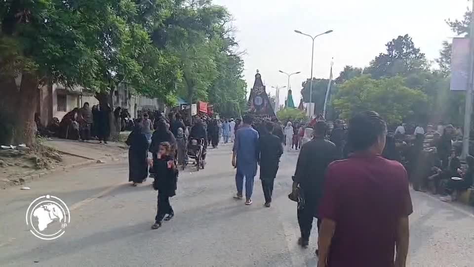Iranpress: Pakistanis hold Arbaeen processions with profound religious devotion
